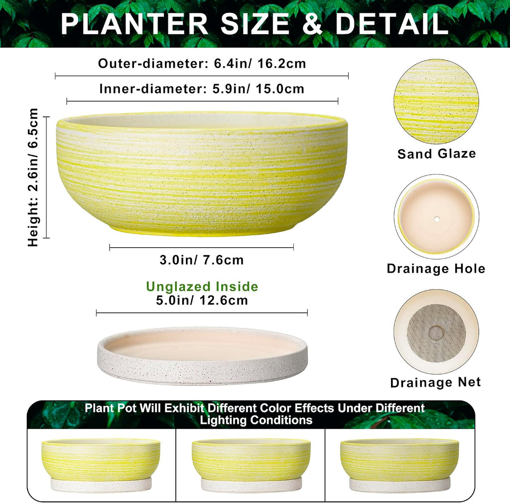 Bonsai Pots, 6 Inch Ceramic Succulent Pots with Tray, Brushed Yellow | Small Bonsai Planter with Drainage Hole, Round