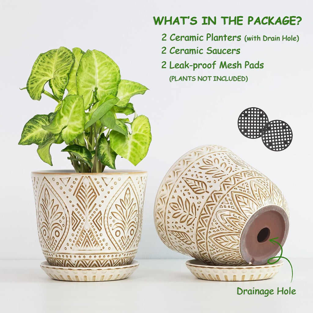 Gepege Ceramic Plant Pots, 6 Inch Indoor Planters with Drainage & Saucers | Ceramic pots for plants with drainage
