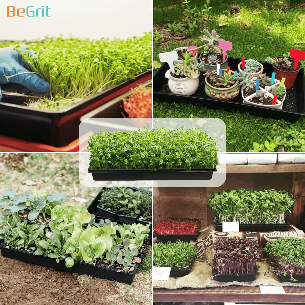 BeGrit 1020 Mesh Bottom Trays with Holes for Seed Starting Germination