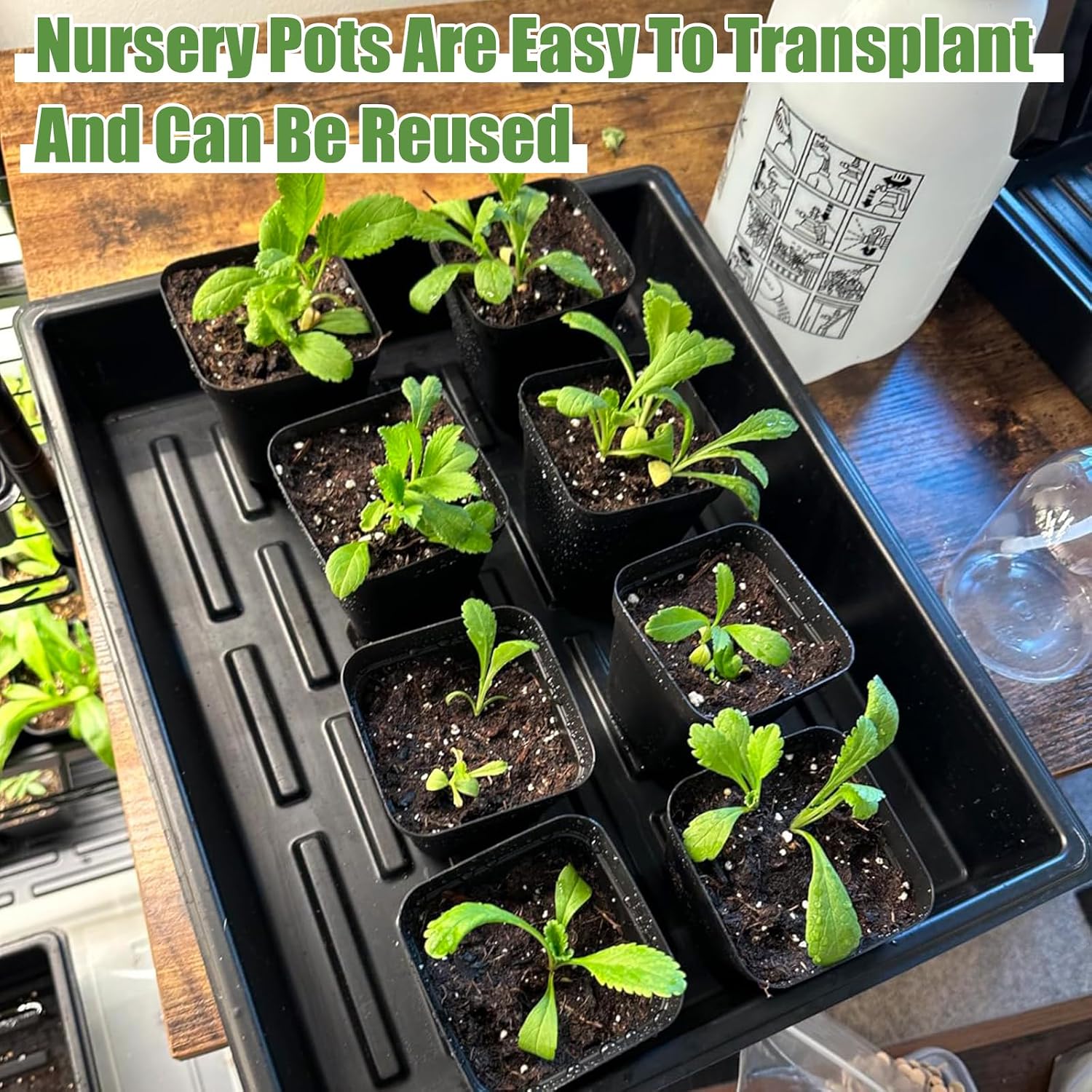 mwellewm 5 Pcs Seed Starter Tray, 3.5 Inch (9CM) 60 Pcs Nursery Pots Kit, Thickened Seed Starting Trays Square Seedling