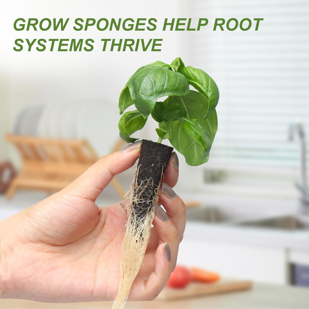 Kratky Method Hydroponic Planter Kit, 8 Hydroponic Planter Plus 24 Growing Sponges for Herbs, Hydroponic Mini Buckets