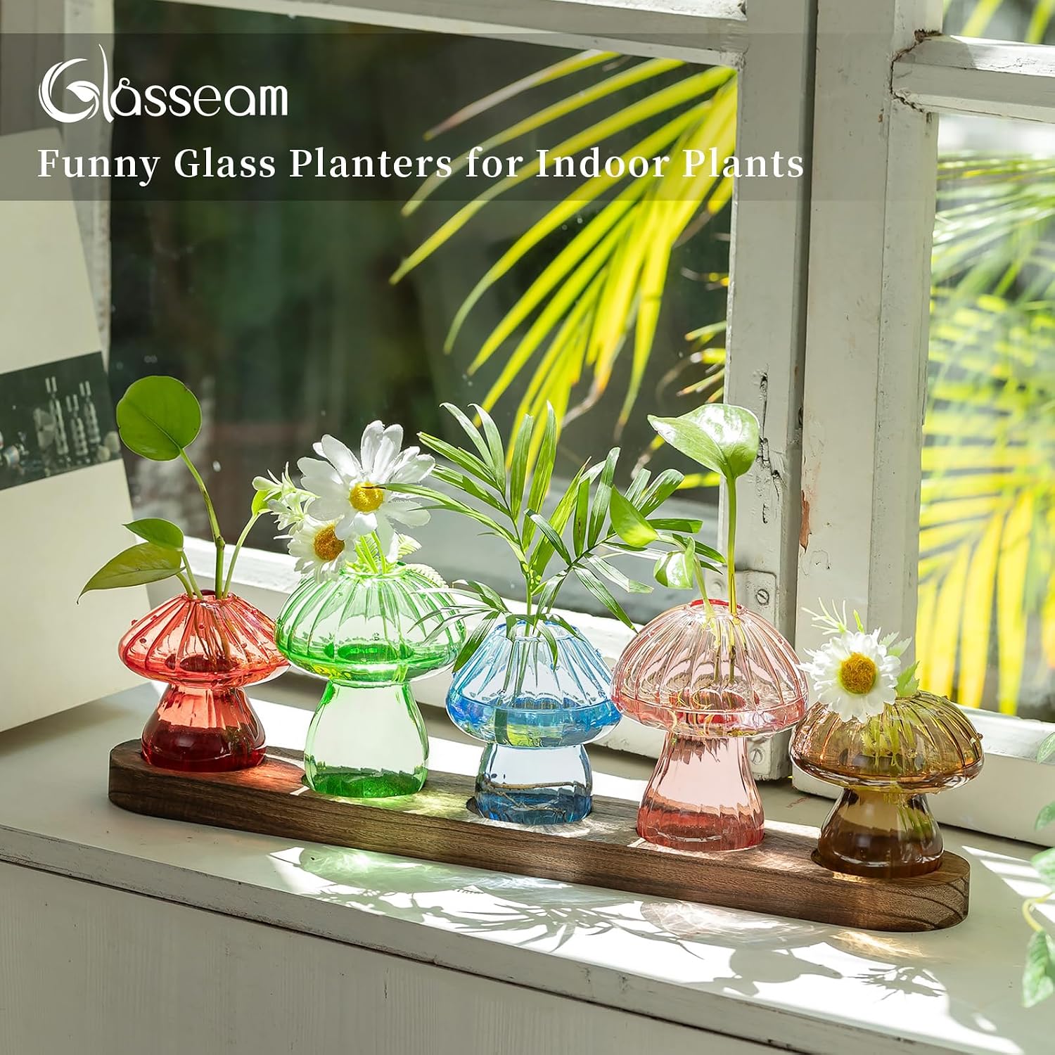 Glasseam Mushroom Glass Plant Propagation Station with Wooden Stand 5Pcs | Colored Handmade Indoor Small Terrarium Jar