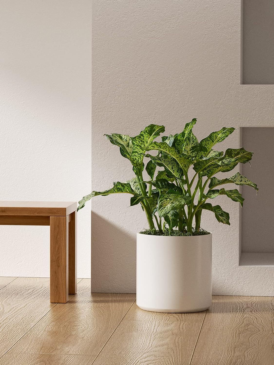 LE TAUCI 12 Inch Pot for Plants, Ceramic Planters for Indoor Plants, Mid-Century Modern Cylinder Flower Pots with