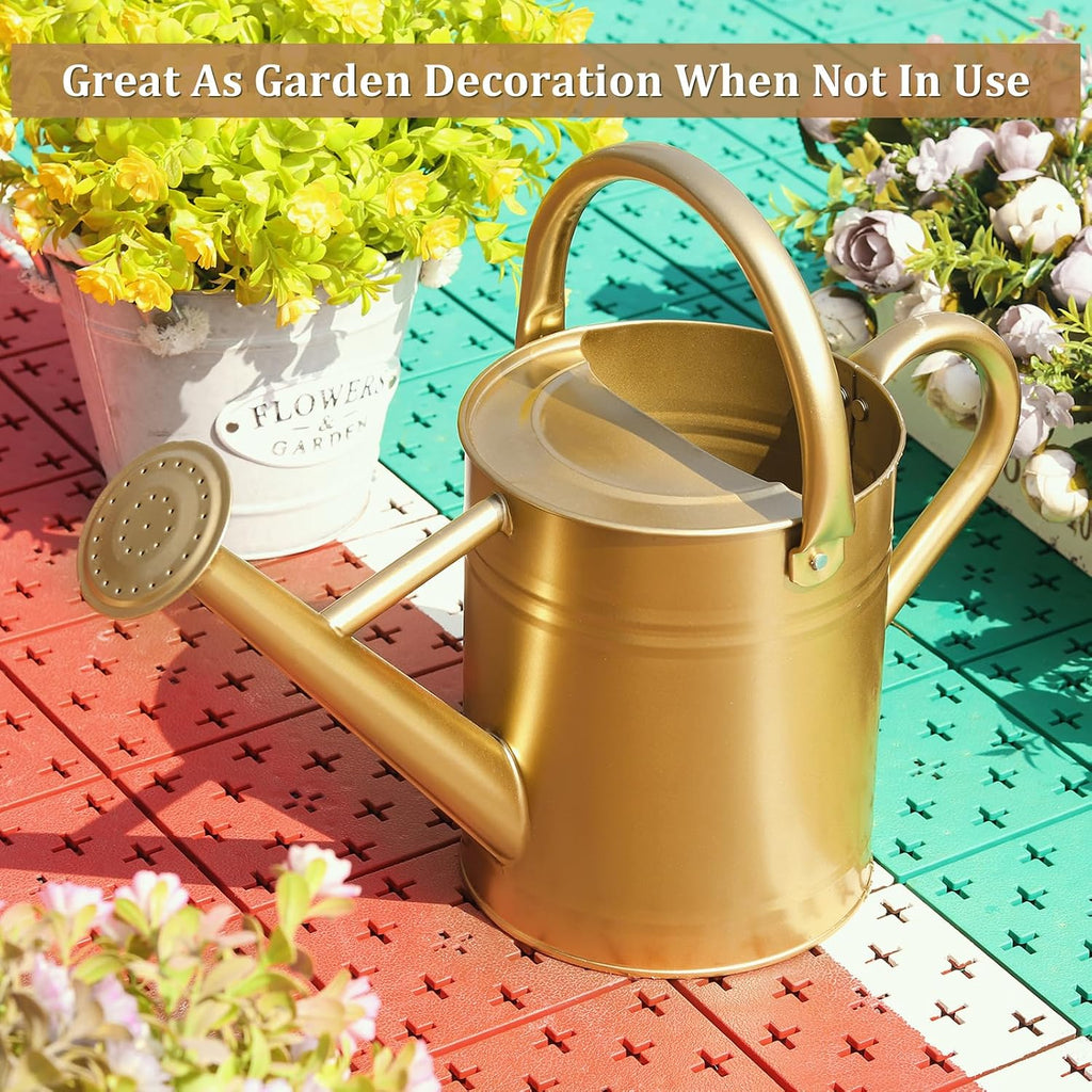 1 Gallon Metal Watering Can for Outdoor&Indoor Plants | Removable Sprinkler Head,Made of Premium Galvanized