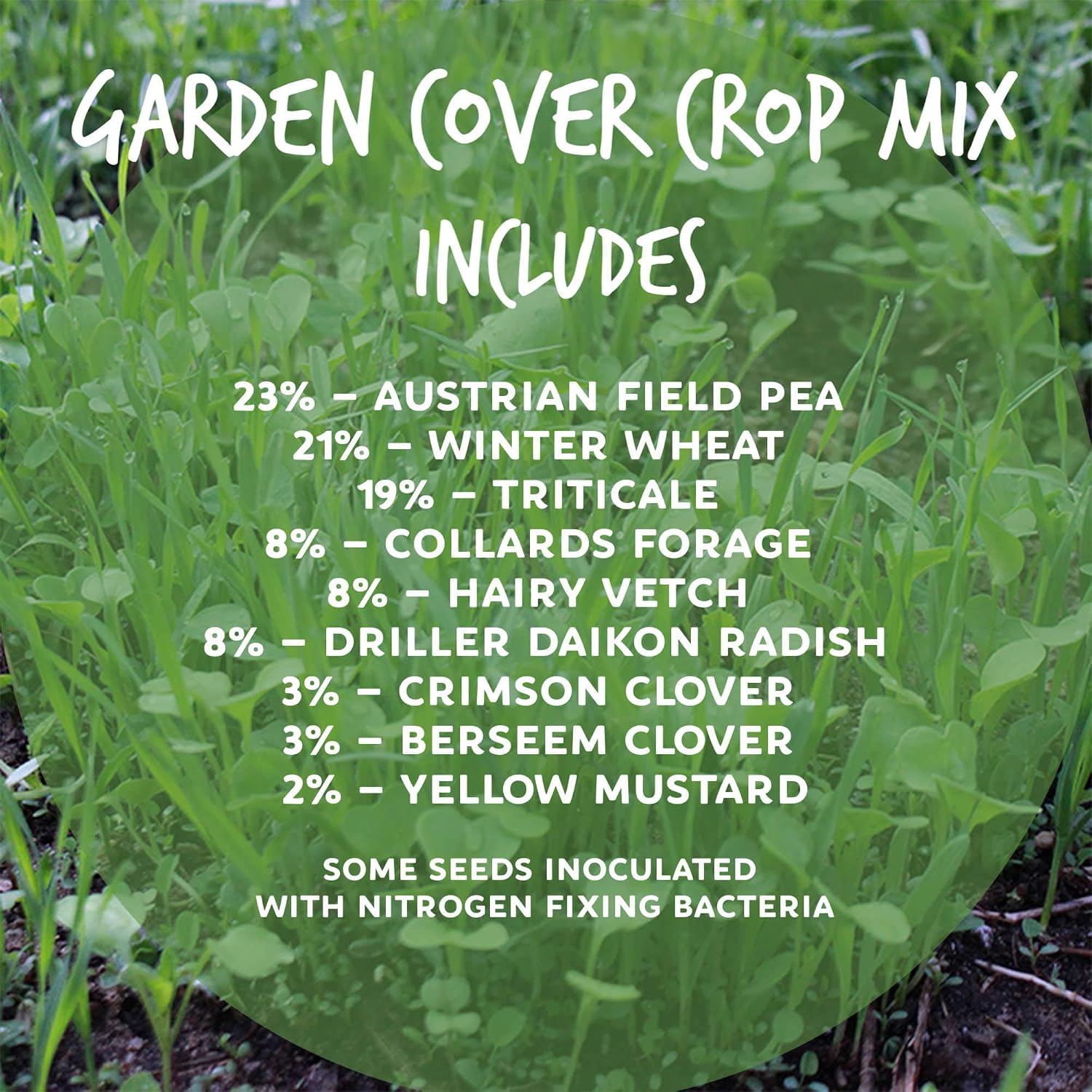 Mountain Valley Seed Co No-Till Garden Farm and Garden Cover Crop Mix Seeds | 5 Lbs - Blend of Gardening Cover Crop