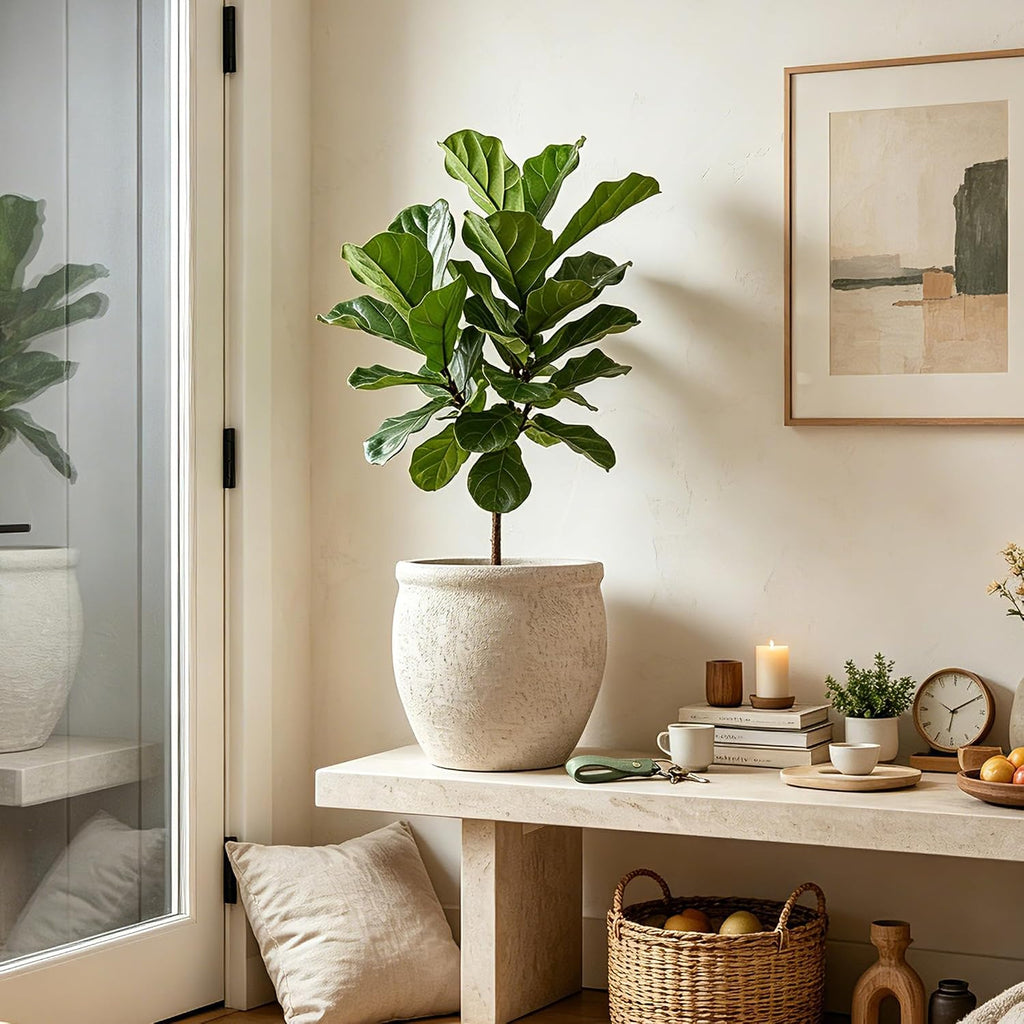 9" Dia Fiberstone Planter – Modern Farmhouse Indoor/Outdoor Flower Pot, Beige Decorative Plant Pot with Grainy Matte