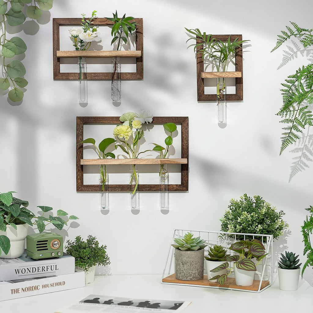 Wall Propagation Station Set with Glass Tubes | 3 Wood Wall Frames with 6 Borosilicate Glass Tubes for Plant Cuttings