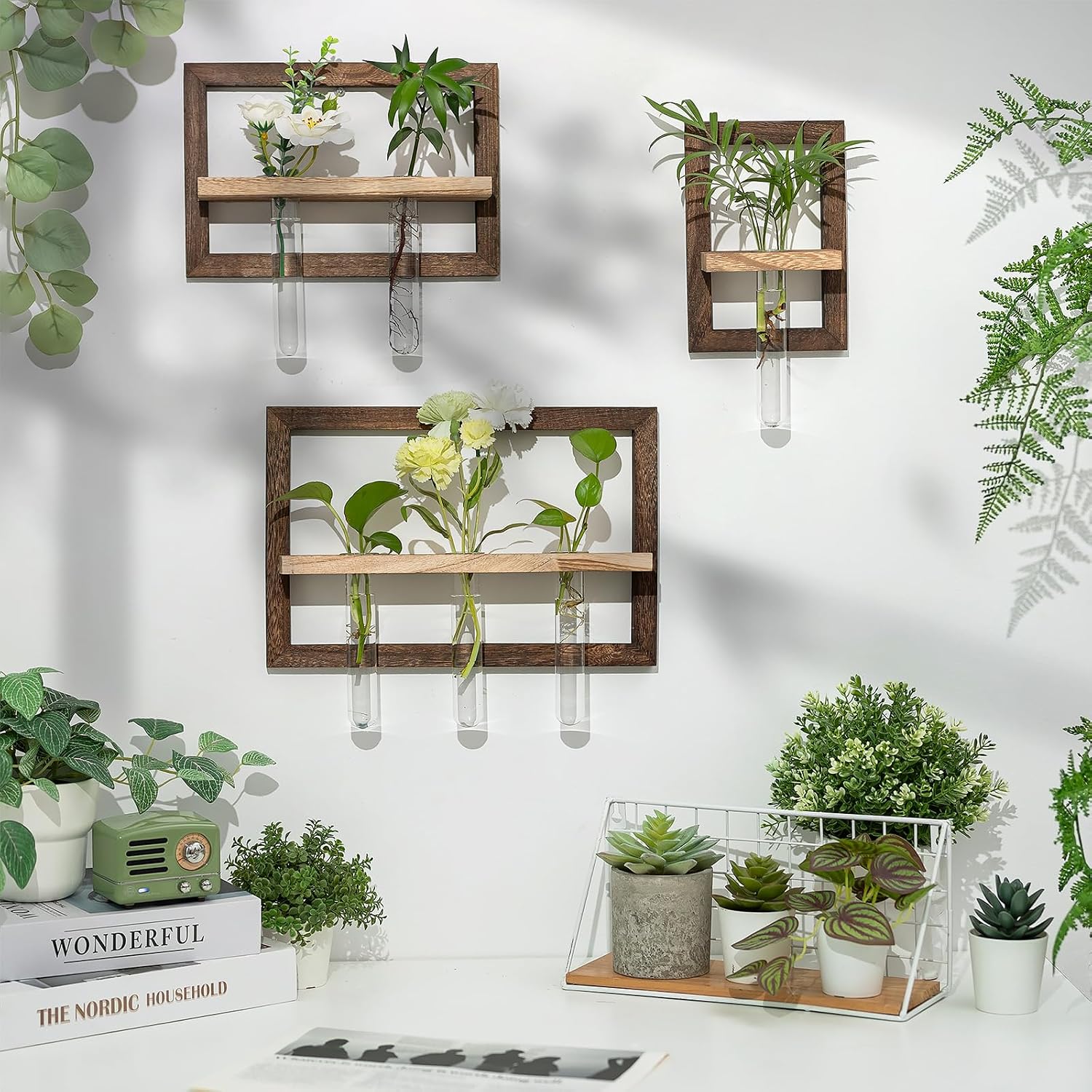 Wall Propagation Station Set with Glass Tubes | 3 Wood Wall Frames with 6 Borosilicate Glass Tubes for Plant Cuttings