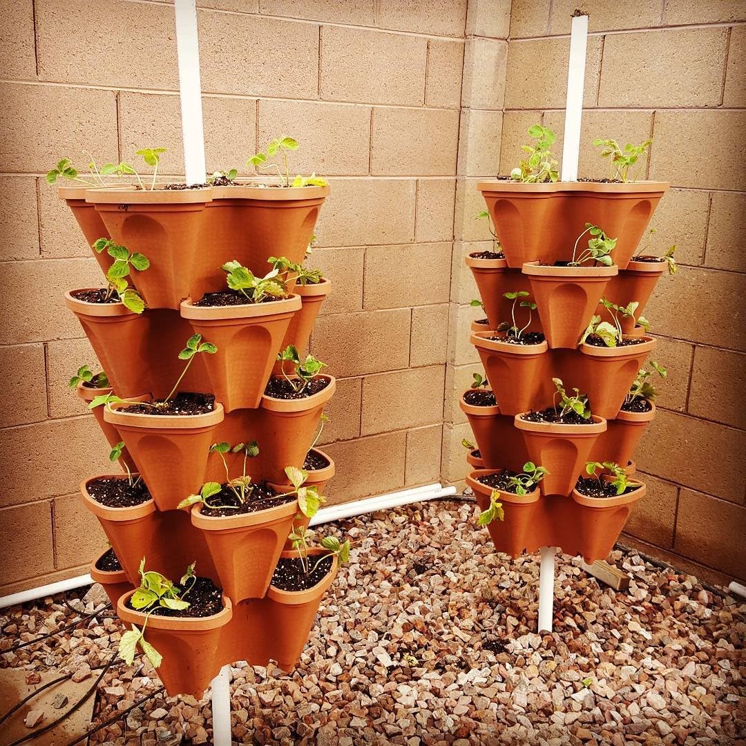 5 Tier Stackable Strawberry, Herb, Flower, and Vegetable Planter - Vertical Garden Indoor/Outdoor