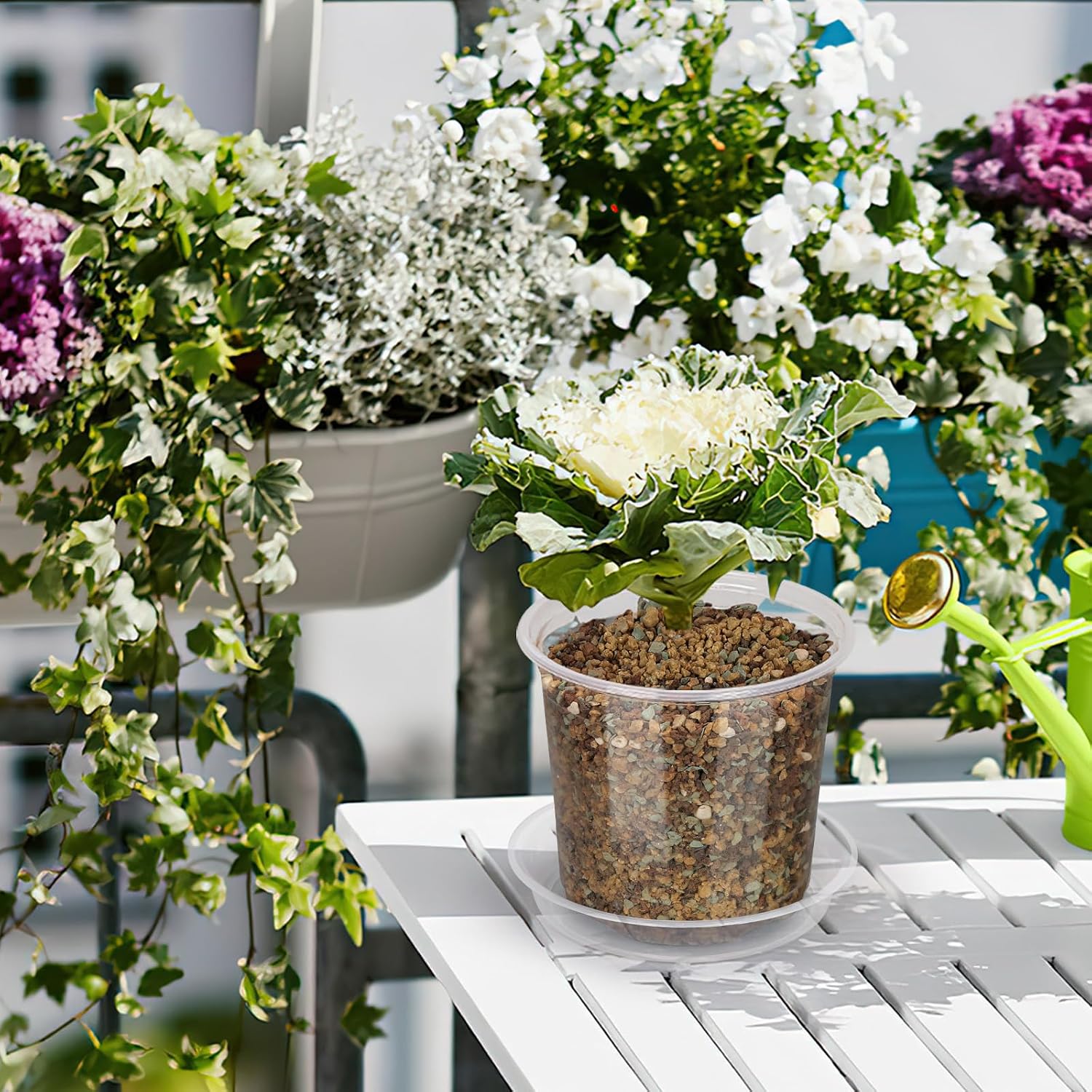 40 Pack 4/5/6/7 Inch Clear Nursery Pots with Drainage and Saucer, Clear Plastic Planter Pots for Plants, Flexible Seed