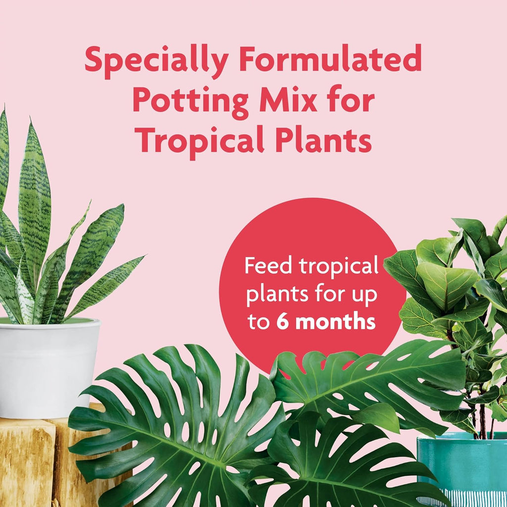 Gro Tropical Potting Mix, For Container Plants, Use with Snake Plants, Spider Plants, Pothos, Monstera, 6 qt., 3-Pack