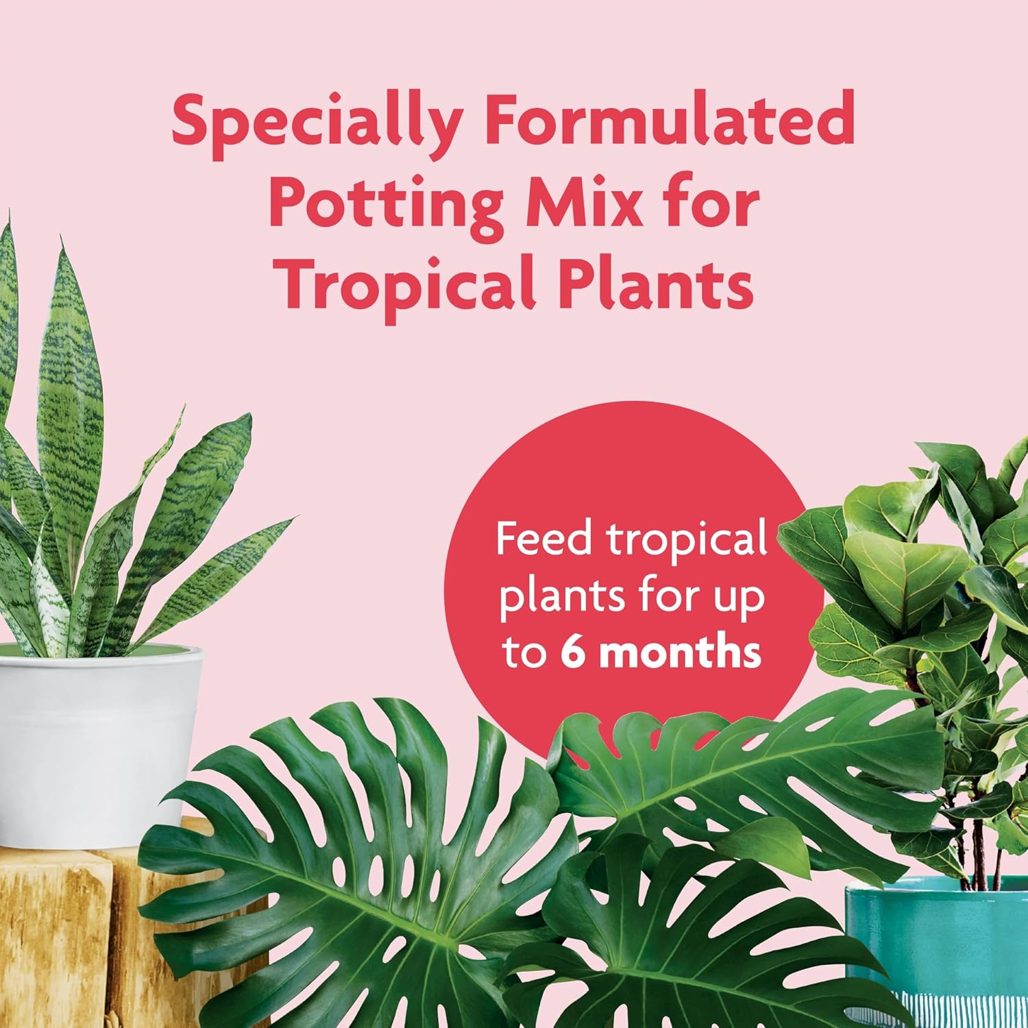 Gro Tropical Potting Mix, For Container Plants, Use with Snake Plants, Spider Plants, Pothos, Monstera, 6 qt., 3-Pack