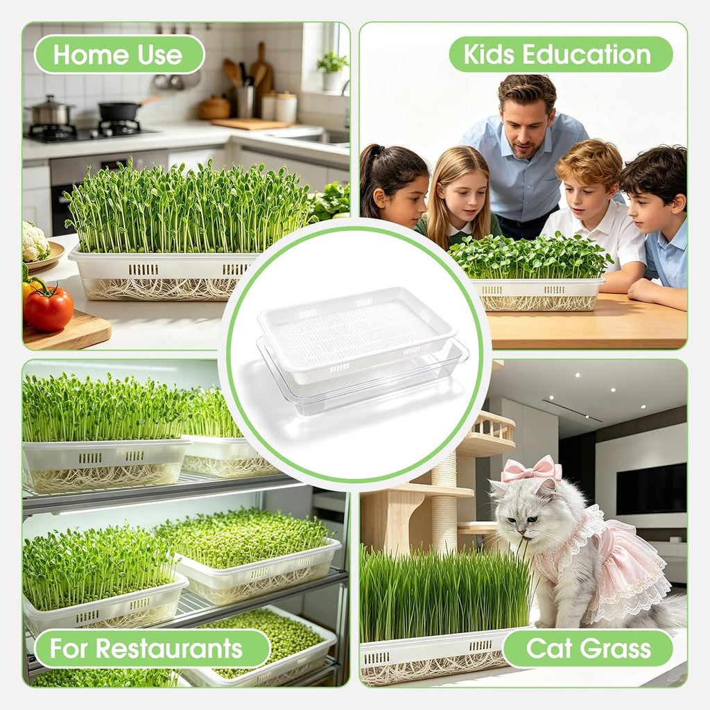 3 Pack Hard Acrylic Microgreens Growing Trays, Visual Soilless Sprouting Kit with Silicone Mats & Spray Bottle, Seed