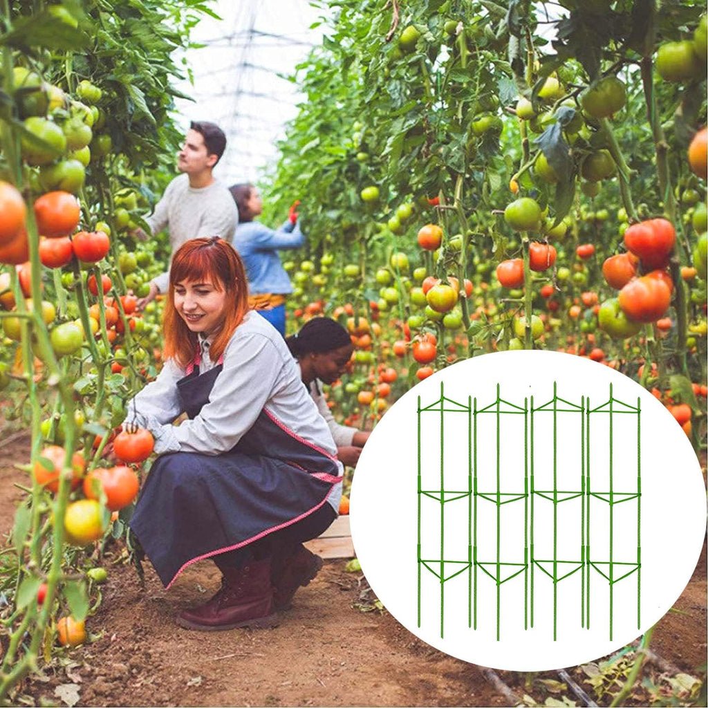 Moirsunt 6 Packs Tomato Cage for Garden, Up to 48Inch Plant Support Stakes | Garden Stakes Trellis for Raised Garden