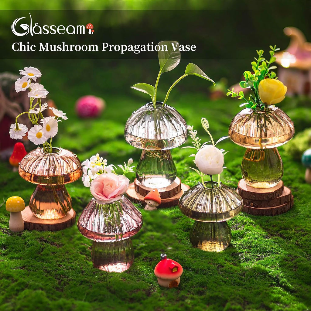Glasseam 5 Pcs Mushroom Propagation Station: Glass Terrarium Jar for Plants | With Wood Stand, Fall Colored, Handmade