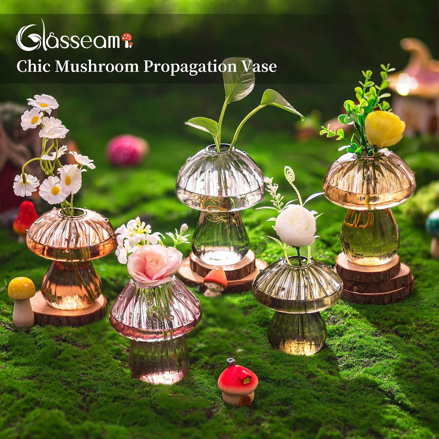 Glasseam 5 Pcs Mushroom Propagation Station: Glass Terrarium Jar for Plants | With Wood Stand, Fall Colored, Handmade