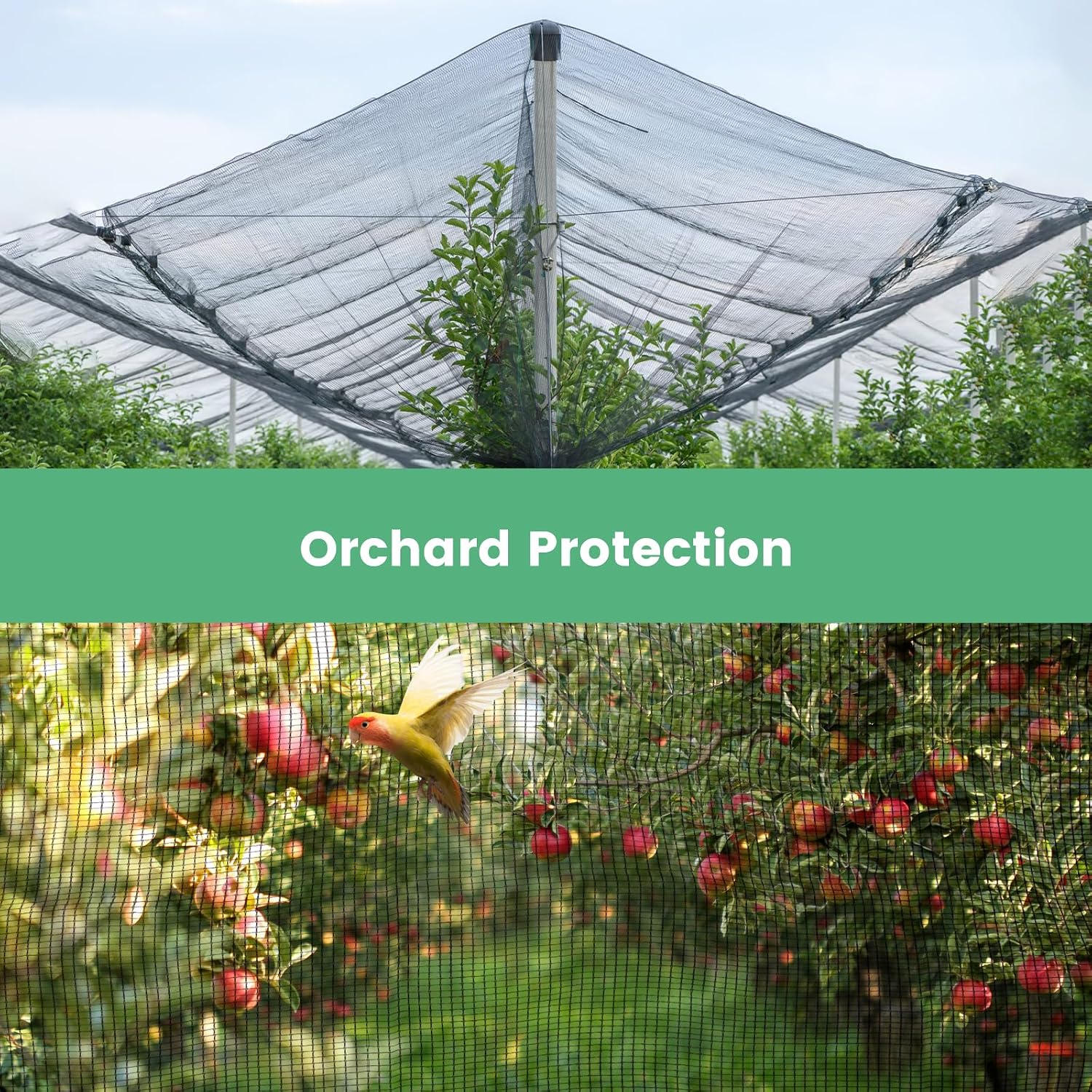 10 x 10 FT Protection Garden Netting | 30% with Brass Grommets Anti Squirrels and Other Animals and Hail Cover for