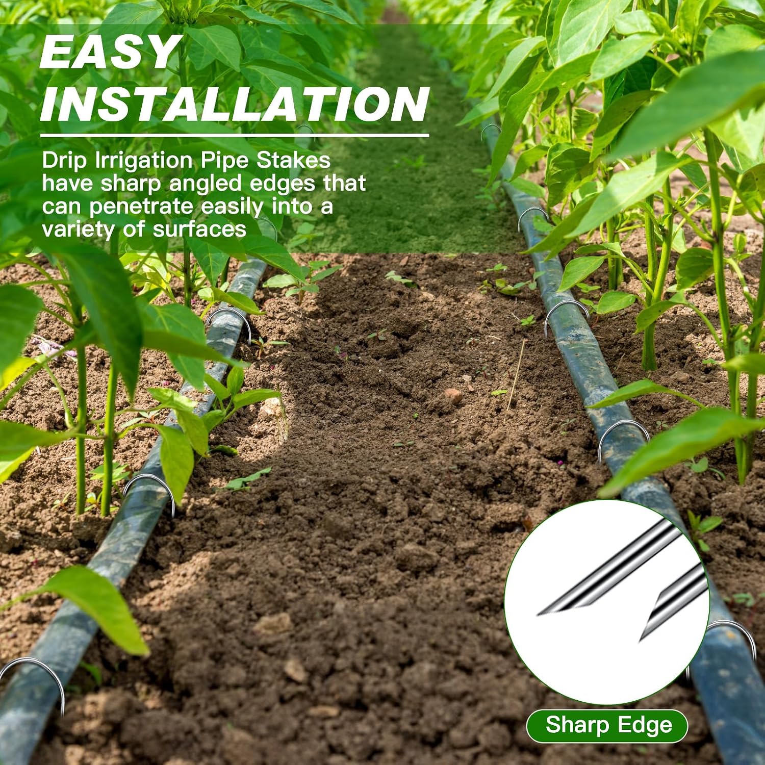 Tandefio 200 Pack Drip Irrigation Tubing Stakes 6 Inch Garden Pins Landscape Staples Securing Pegs Galvanized Lawn Yard