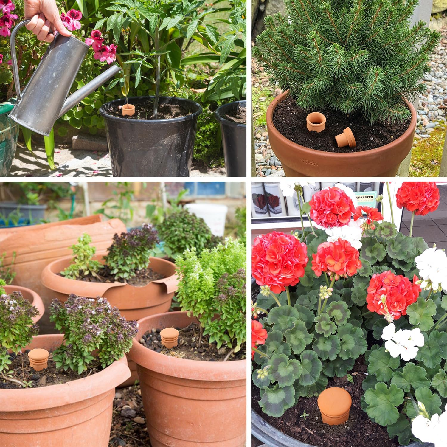 2pcs large Plant Watering Globes Ollas 10×5×5inch 61oz Terracotta Watering Pot Self Watering Planter Terra Cotta Clay