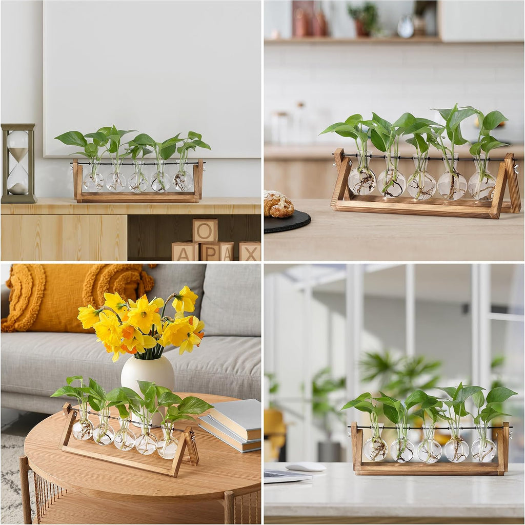 YIBOT Plant Propagation Stations with Wooden Stand & 5 Glass Bulb Vases | Tabletop Plant Terrarium for Propagating