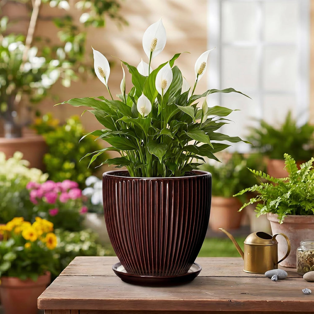 6 Inch Planter, Ceramic Plant Pots Indoor with Drainage Hole and Saucer, Round Flower Orchid Pots for Indoor Plants