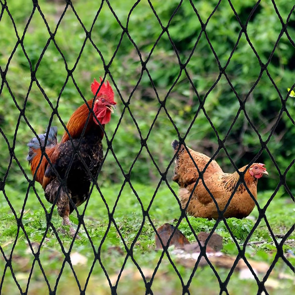DQS Bird Netting 50' x 50', 2.4" Square Mesh Garden Netting, Poultry Net | Chicken Netting Hawk Deer Fence Net for