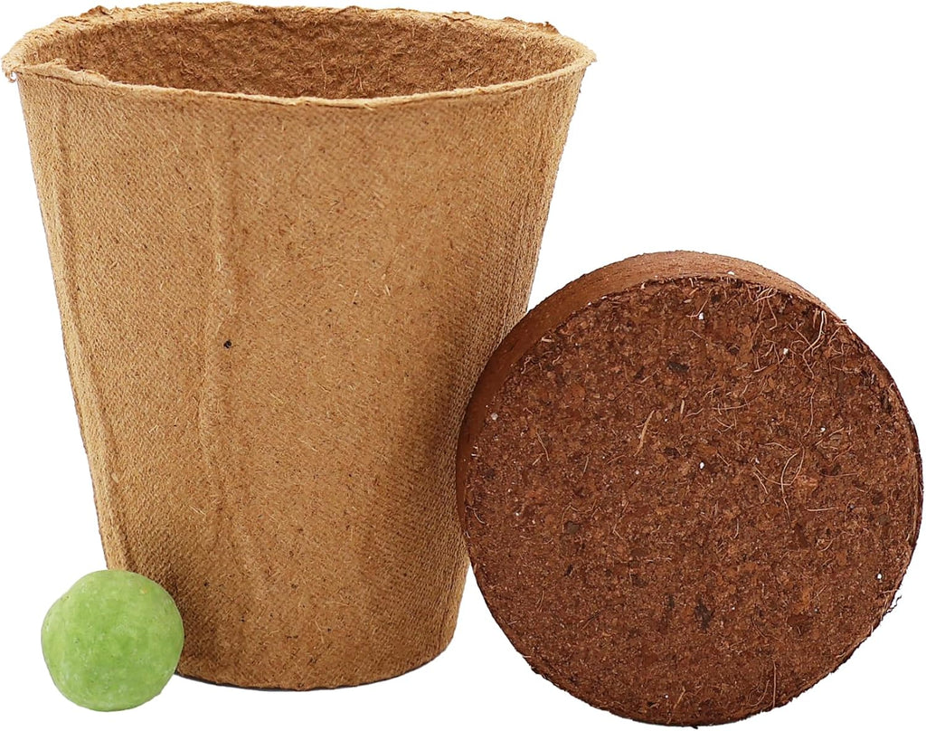 BUZZY Seeds Wildflower Seed Ball Cup 6-Pack – Over 50 Seeds Per Ball, Colorful Decorative Seed Balls in Biodegradable