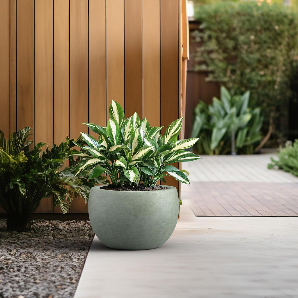 Kante Accent Round Bowl Mint Green Concrete Planter 15.7" Dia, Outdoor | Rubber Plug for Indoor, Drainage for Garden