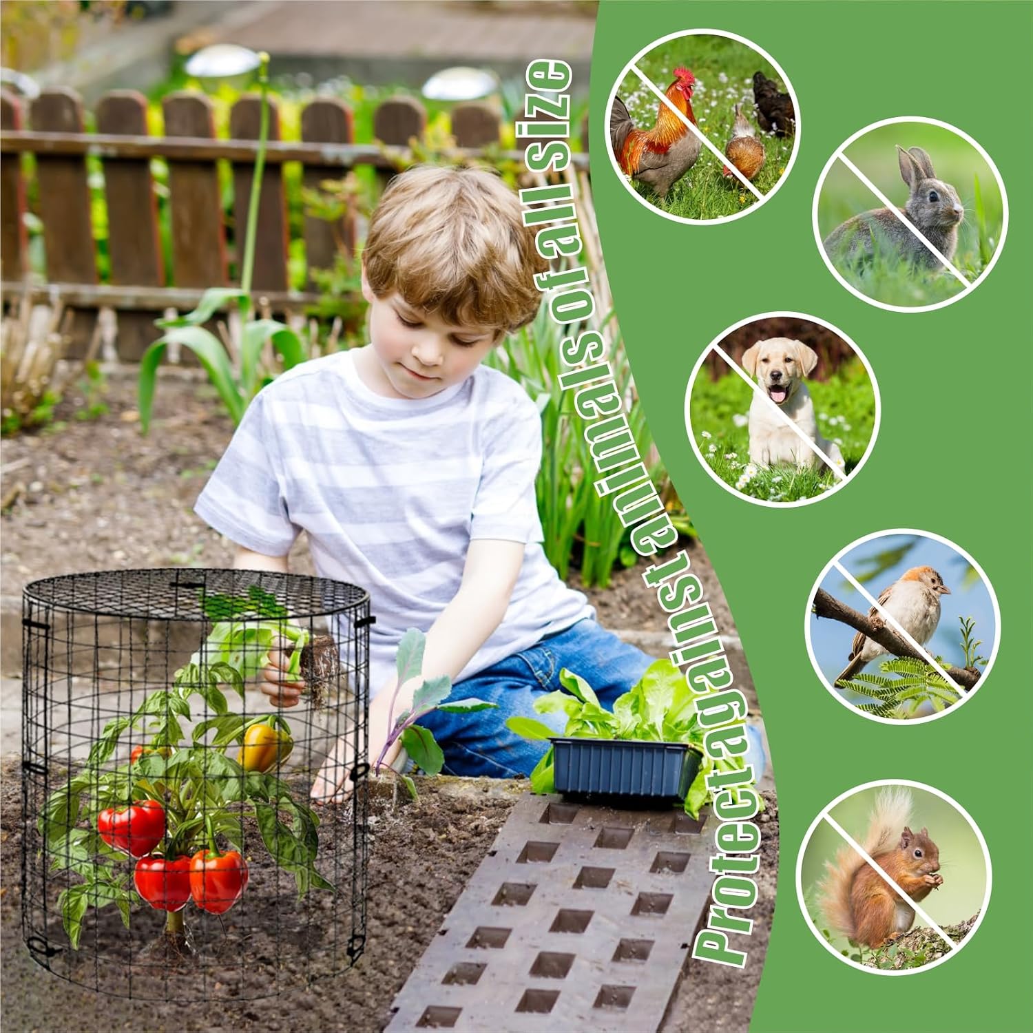 5 Packs Garden Plant Protectors from Animals,Metal Plant Cage,11.8"x 12.6" | Chicken Wire Cloche with Ground Stakes and