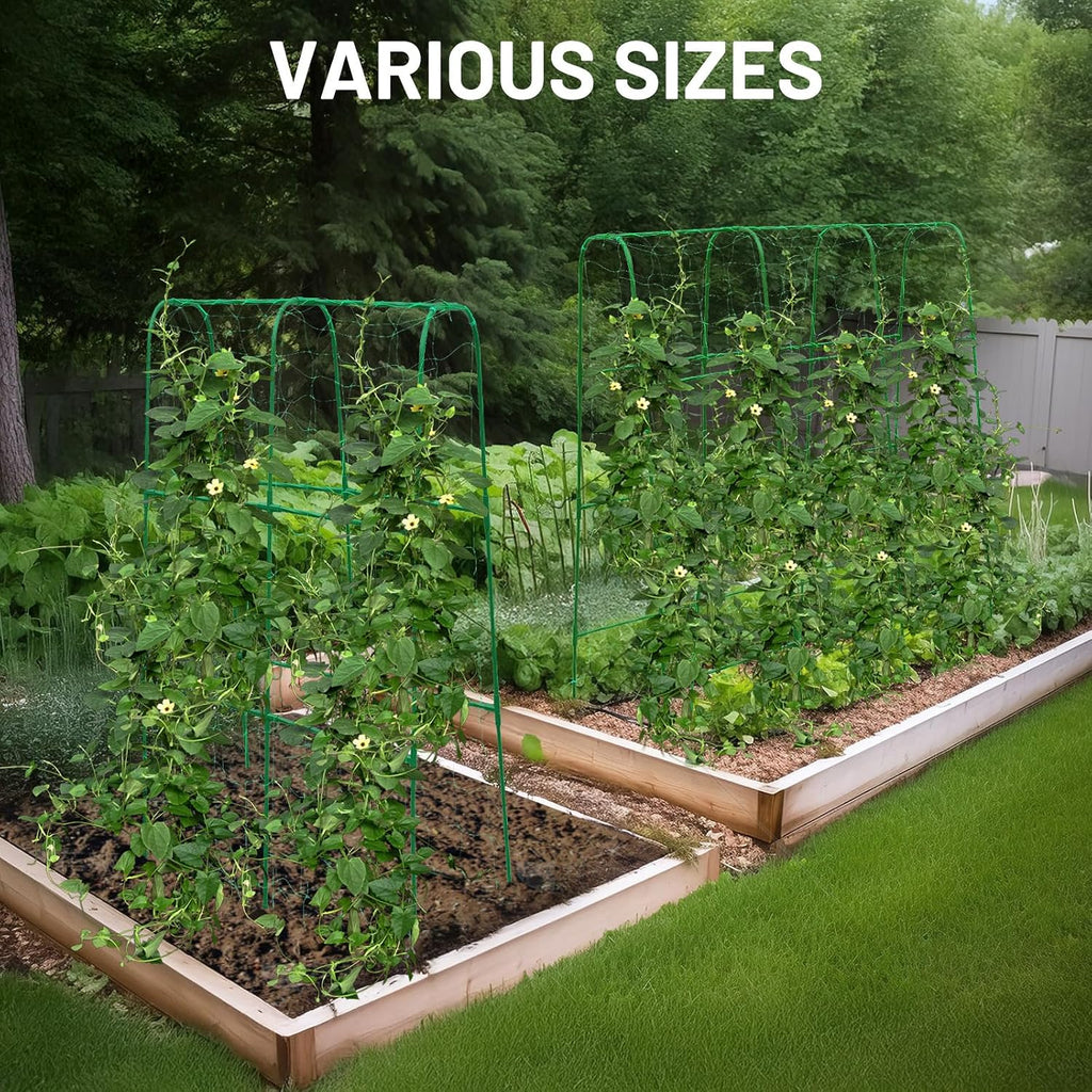 Compact U-Shaped Plant Trellis for Peas, Beans & Light Climbing Plants - Rust-Resistant, Foldable Design, Lightweight
