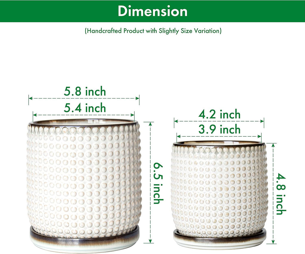D'vine Dev Beaded Ceramic Planter Pots, 4/6 in, Smoked White, 27-D-U-1 | Embossed Dot Texture, with Drainage Hole and