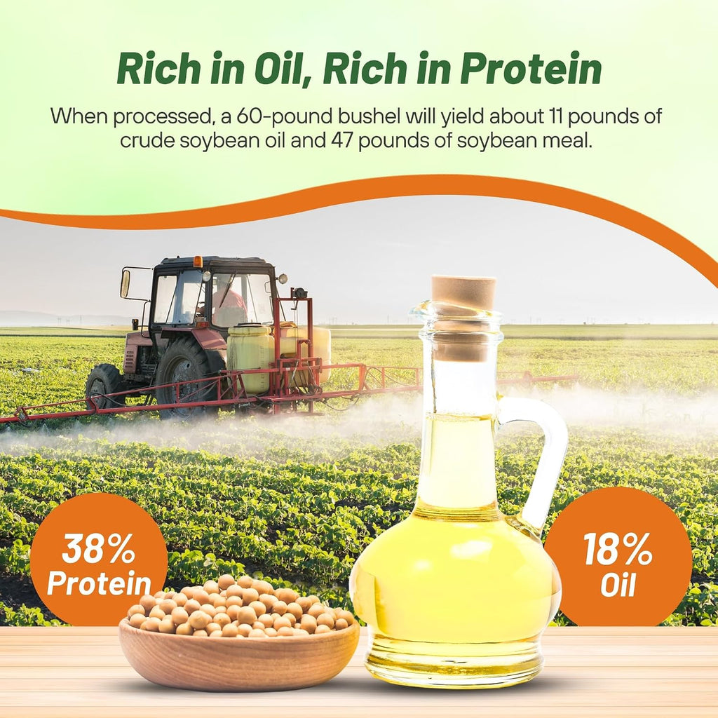 Outsidepride Soybean Seeds - 5 lbs High-Protein & High Yield Heirloom Variety Soy Beans, Ideal for Oil Processing
