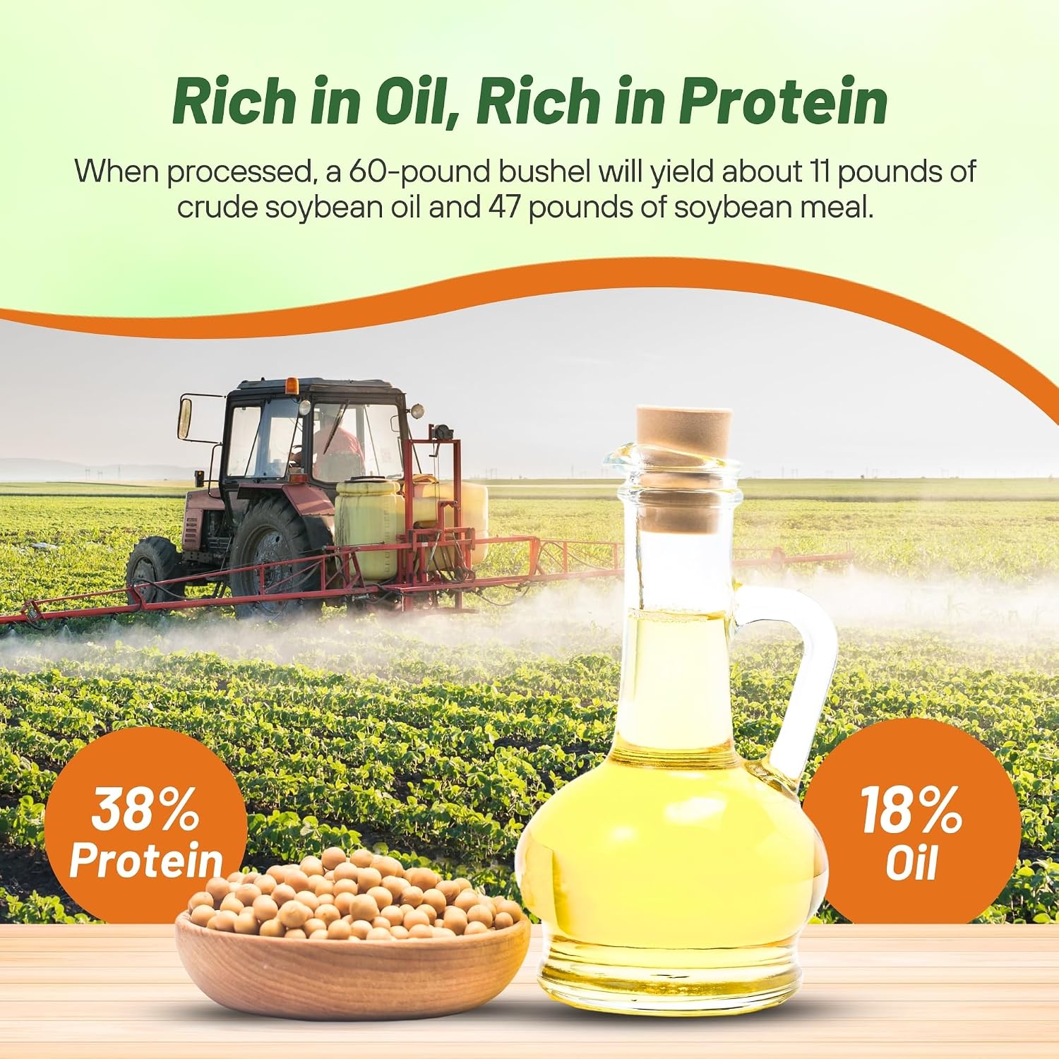 Outsidepride Soybean Seeds - 5 lbs High-Protein & High Yield Heirloom Variety Soy Beans, Ideal for Oil Processing