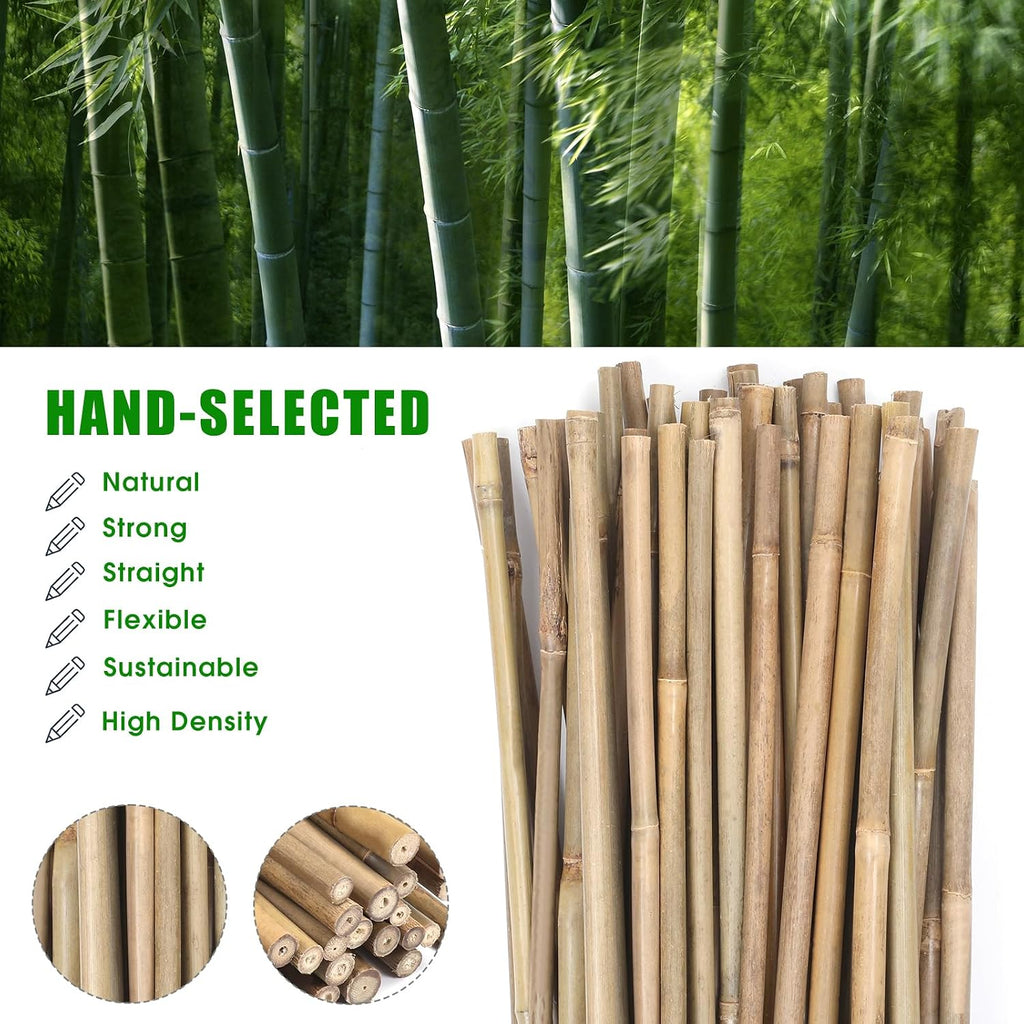 Plant Bamboo Post,4Feet,65Pcs,Bamboo Garden Stakes,Bamboo Stakes,for Tomato,Beans,Vegetable and Flowers, Potted