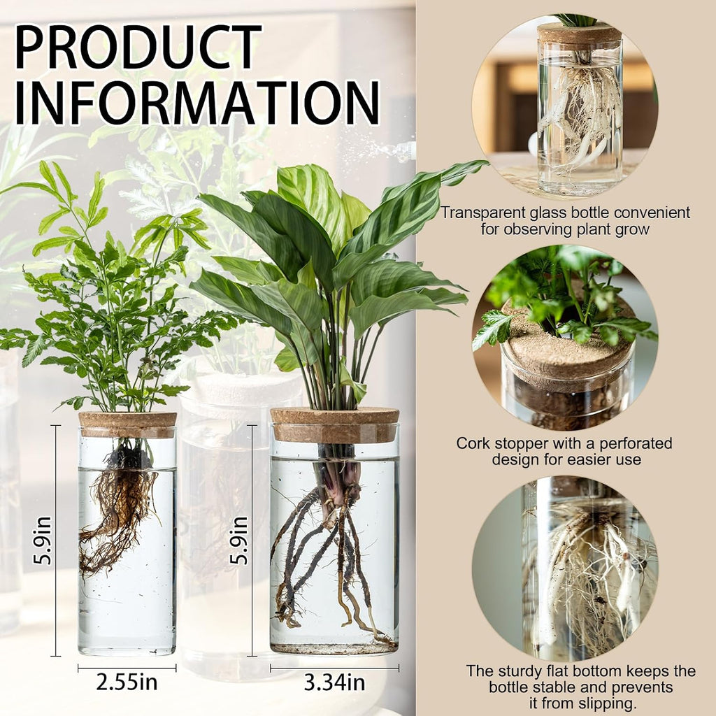 Propagation Vases for Plants, Set of 8(4 Large & 4 Small) Glass Plant Propagation Stations, Plant Propagation Jars for