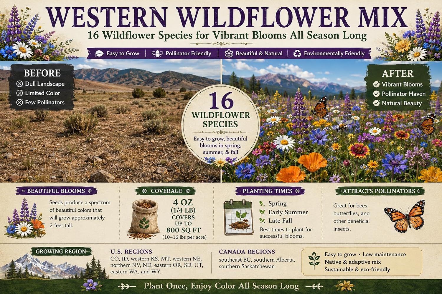 Western Wildflower Seed Mix – 16 Annual & Perennial Species, 1lb Covers Up to 3,200 Sq Ft, Pollinator-Friendly, Non-GMO