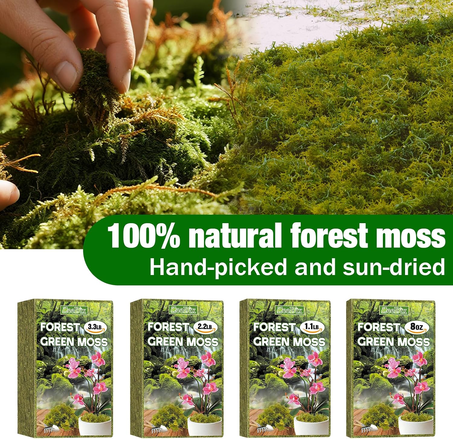 Sphagnum Moss for Repotting, Natural 3.3 lbs for Indoor Plants | For Orchids, Succulents, Potted Indoor Plants. Natural