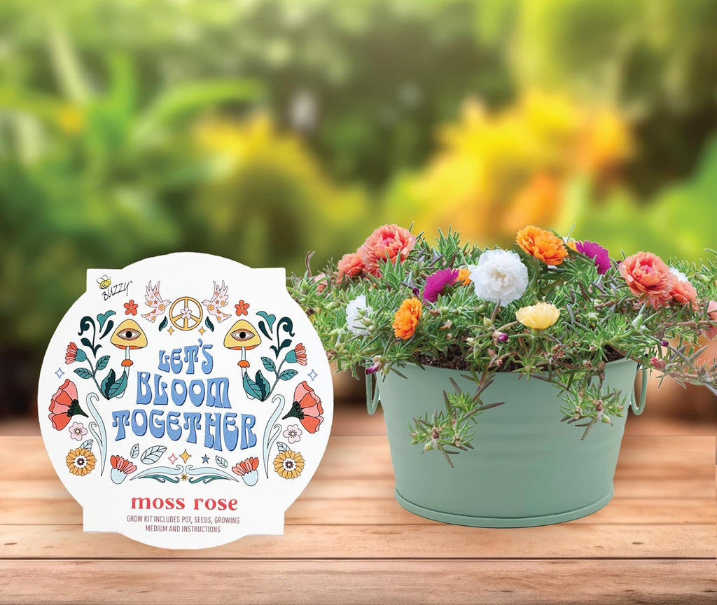 Buzzy Seeds Cactus, Moss Rose & Aloe Grow Kit 3-Pack - Ceramic Planter - Complete Indoor Gardening Kit with Seeds