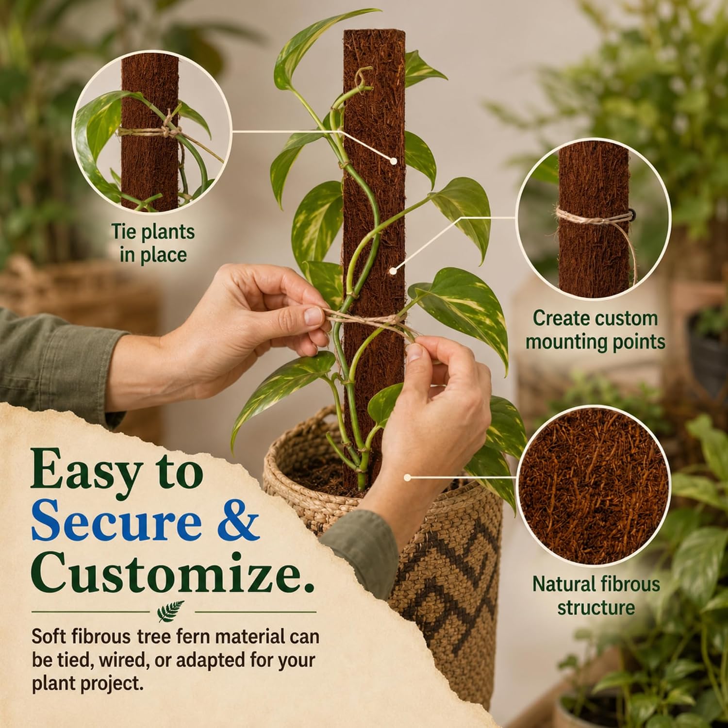 Fernwood Tree Fern Totem Pole Climbing Plant Support - 2 Pack – 19.7x2x2 | For Orchids, Aroids, and Other Climbing