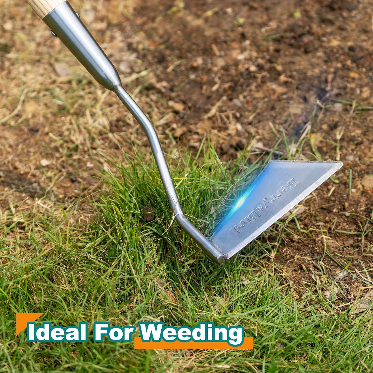 Berry&Bird Swoe Garden Hoe, 61.8'' Stainless Steel Long Handled 3 Edge Hoe with Wooden Hand, Mini Angled/Warren Hoe