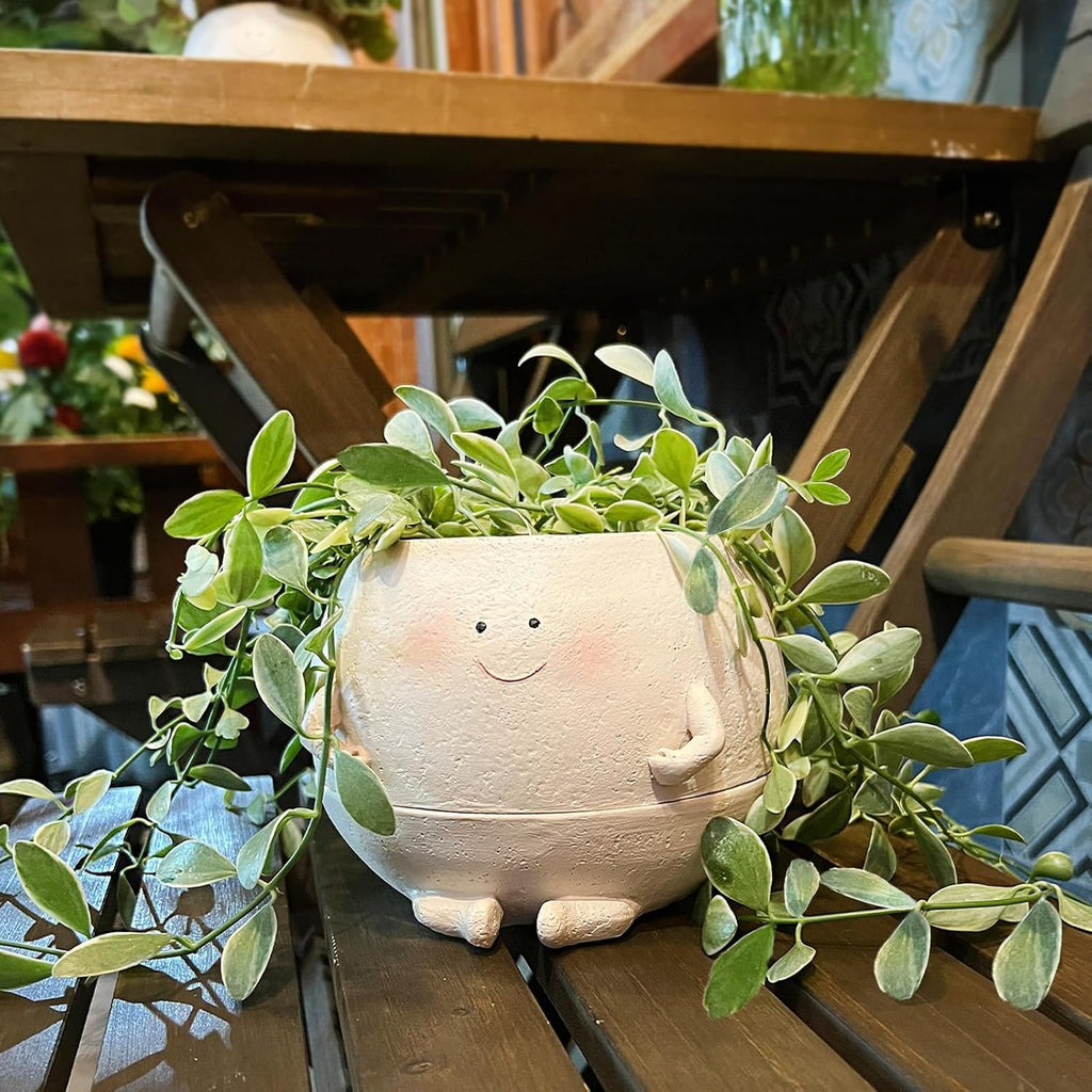 NINIPAPA Self Watering Plant Pot 4 Inch Cute Smile Face Planter Pot for Indoor Outdoor Plants with Drainage Hole Unique