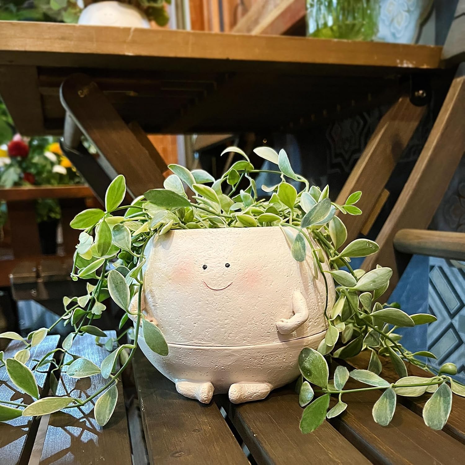 NINIPAPA Self Watering Plant Pot 4 Inch Cute Smile Face Planter Pot for Indoor Outdoor Plants with Drainage Hole Unique