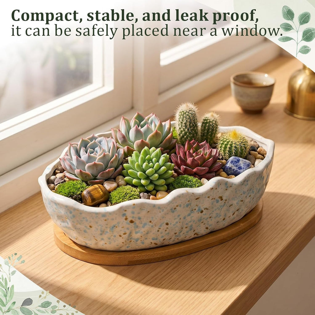 Succulent Planter Pot with Drainage Holes Large Ceramic Glazed Planter with Bamboo Wooden Tray and mesh Pads Shallow