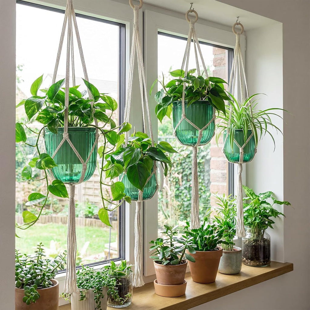 Hanging Planter Set of 6 Self Watering Indoor Flower Pots with Water Level Indicator Modern Plant Hangers for Indoor
