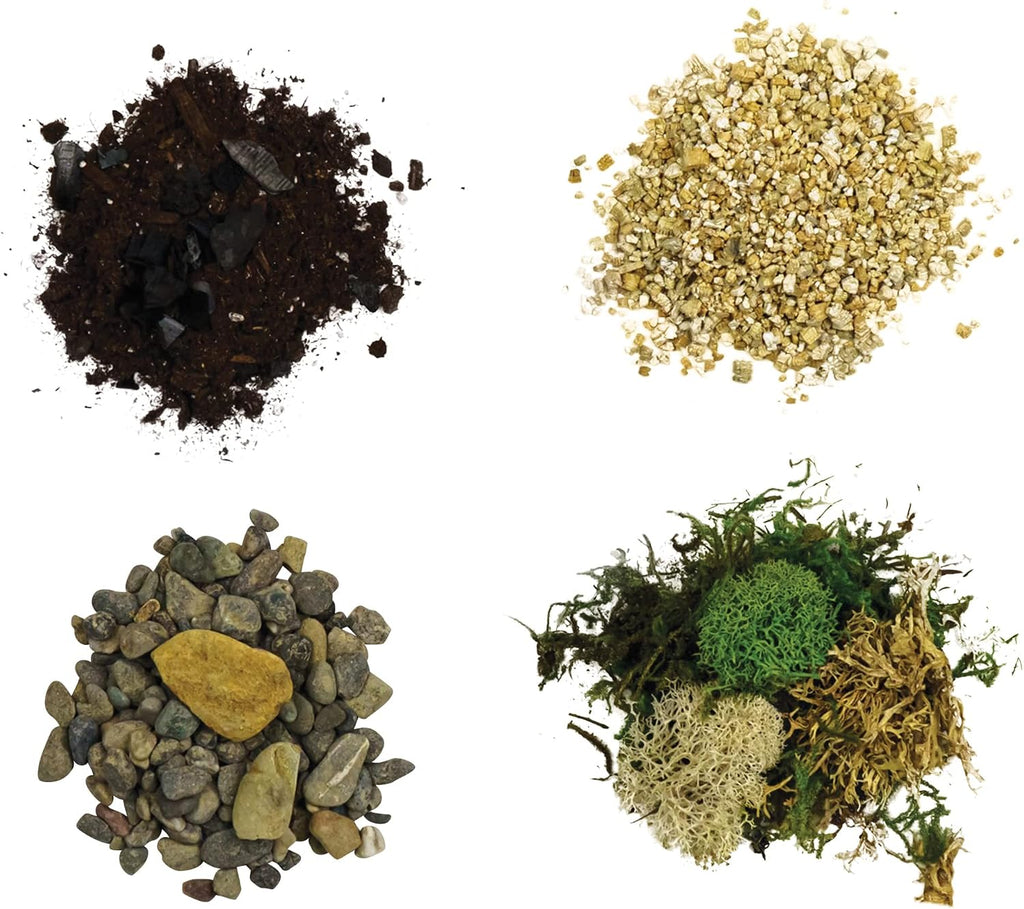 Cute Farms Terrarium Starter Kit | Moss, Vermiculite, Soil, Pebbles, Plant Food, & Finishing Tools (Large + 8 Live