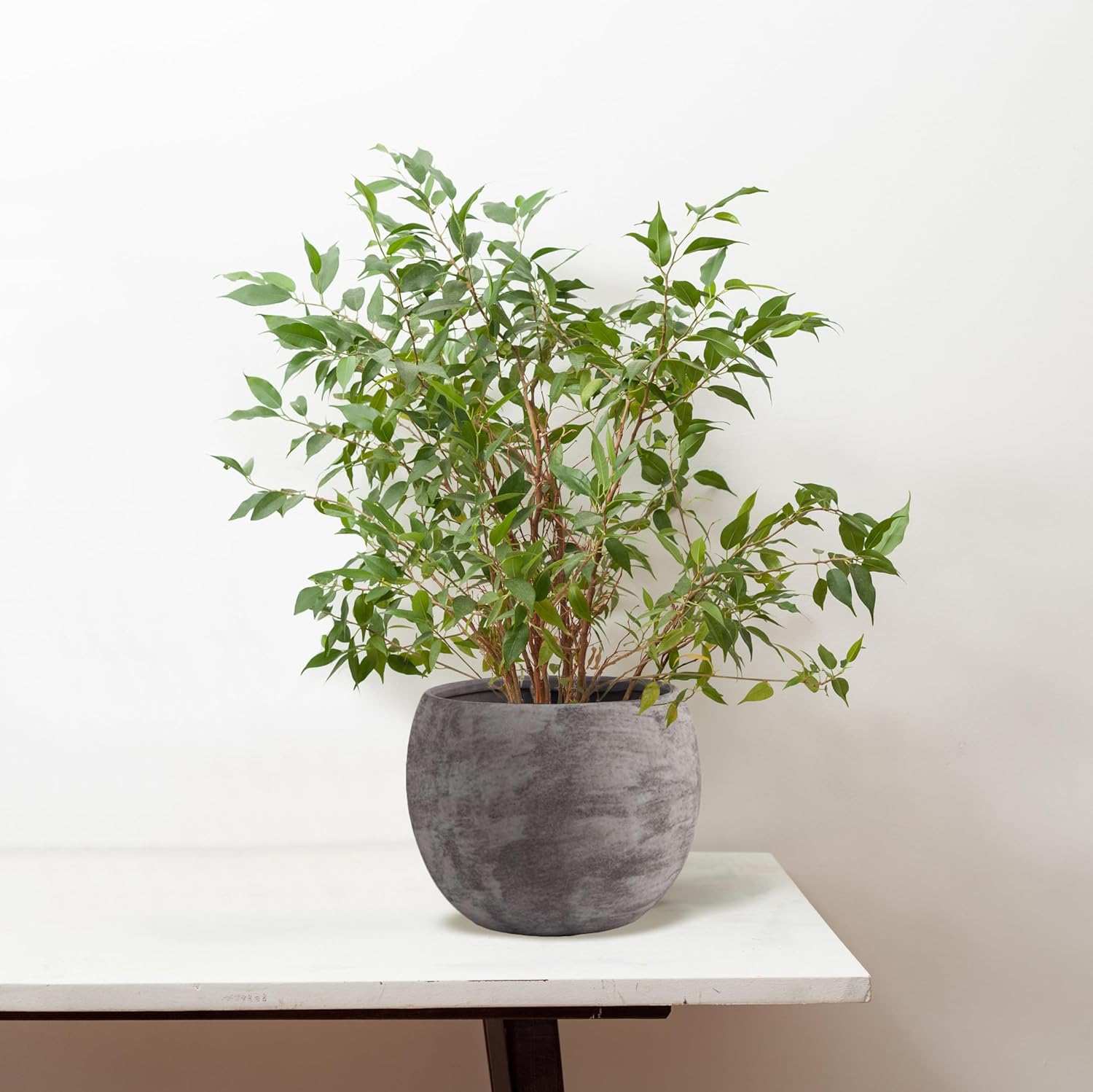 Olly & Rose Charcoal Grey Black Plant Pot 10 Inch Large Textured Washed Finish Outdoor and Indoor Plant Pot Planter for