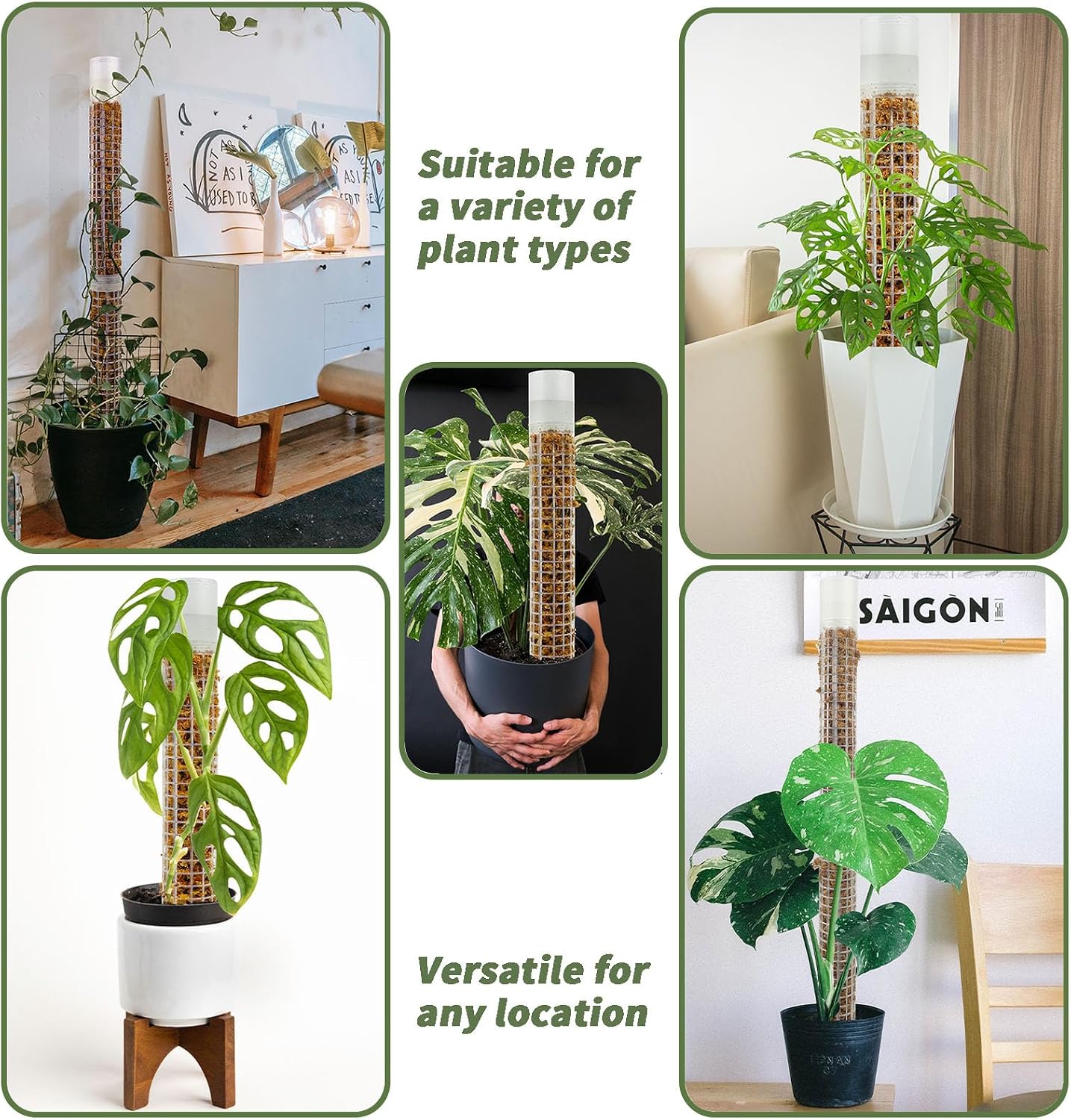 Jegu Self-Watering Moss Pole Plastic, 18.8 Inch Monstera Plant Support | Plastic Moss Poles for Climbing