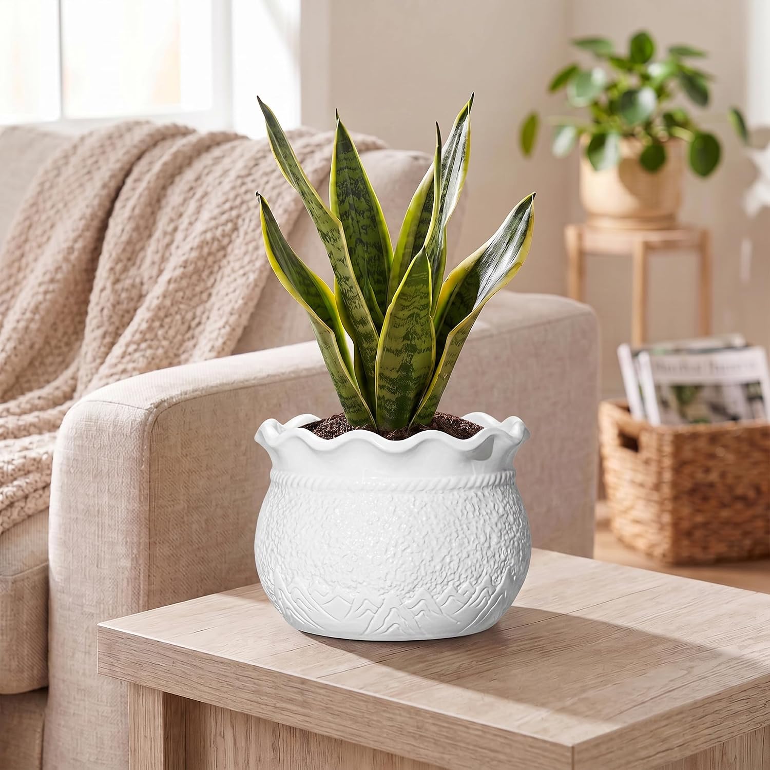 Ceramic Flower Pots, 6 Inch Plant Pot for Indoor Plants, White | Decorative Pots for Plants with Drainage Hole, Unique