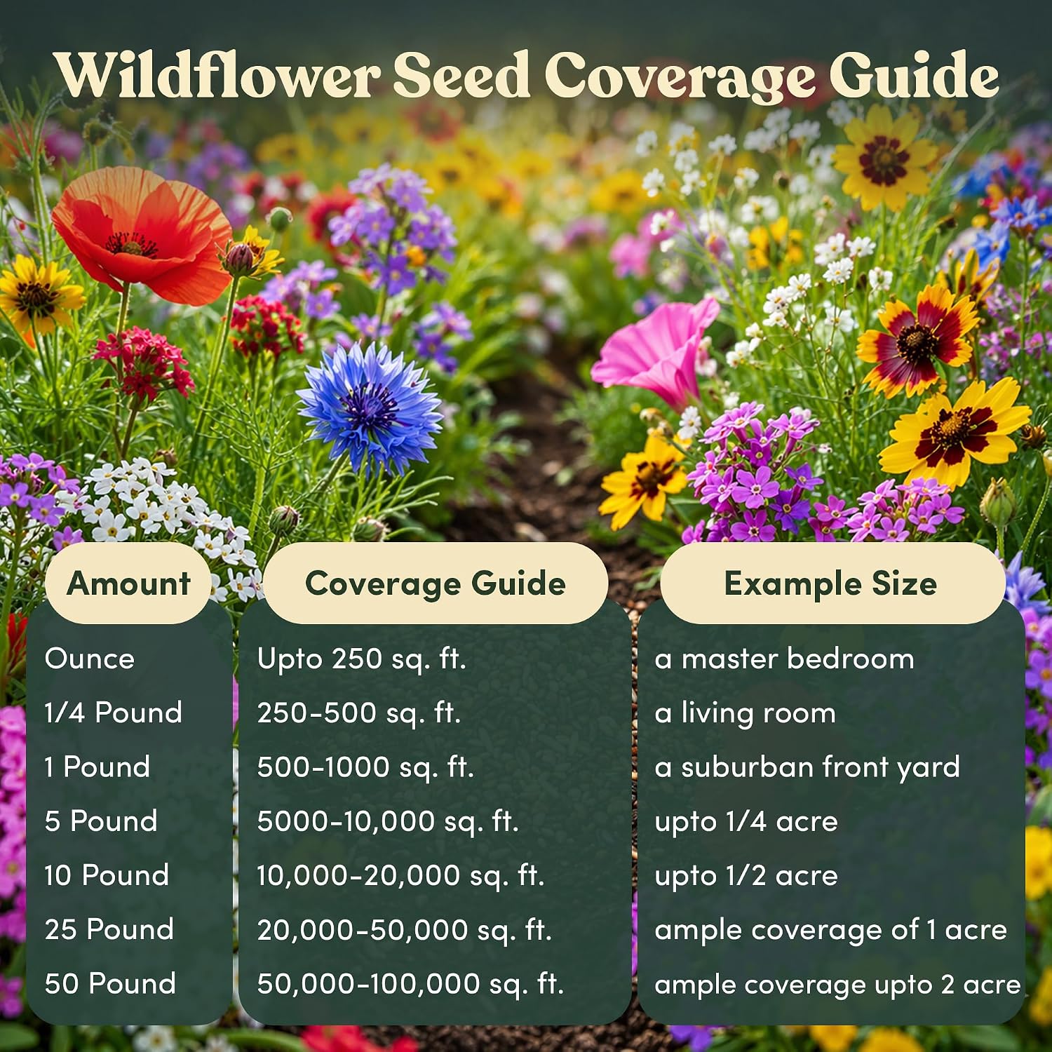 Wildflower Seed Shaker – Annual Mix by GevaGrow | 17 Variety Flower Seeds for Planting in Pots & Outdoor Gardens, Bulk