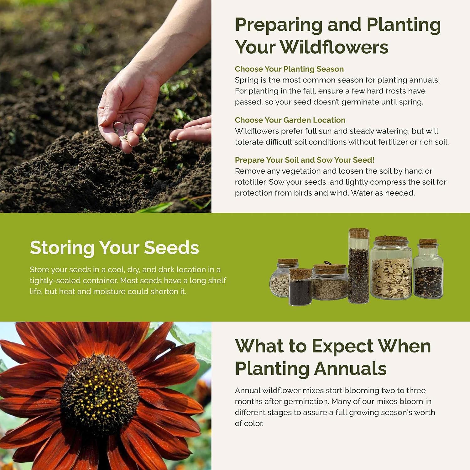 Eden Brothers Here Comes the Sun Flower Mixed Seeds for Planting, 1 lb, 480,000+ Seeds with Autumn Beauty, Lemon Queen